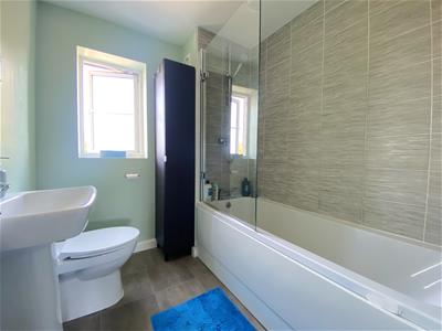 Picture 12